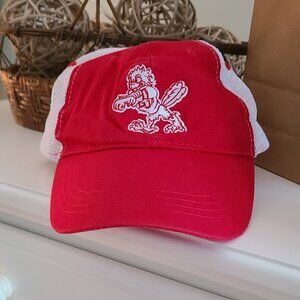 Liberty University Baseball Hat